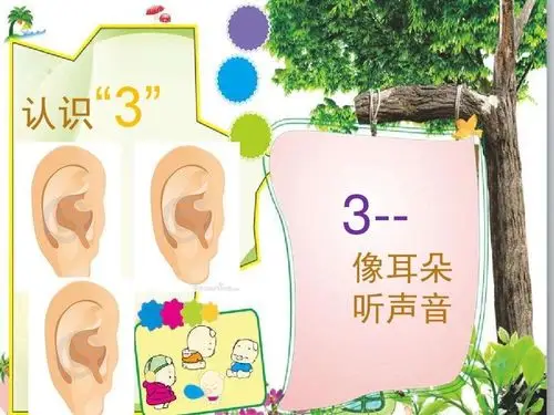 同学习共成长,我们在路上——见证与期待(二)