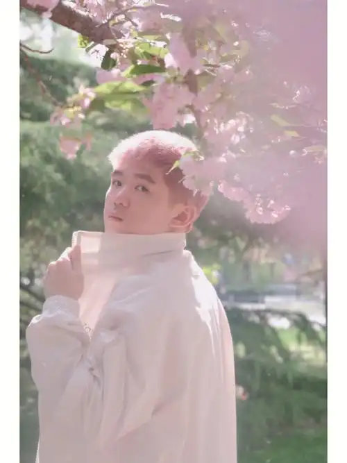 男生写真粉色的头发和樱花更搭配哦