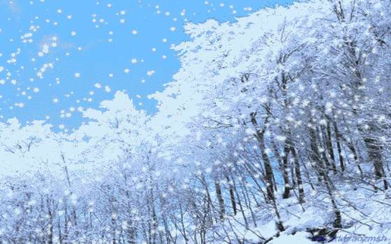 590_369gif 动态图 动图