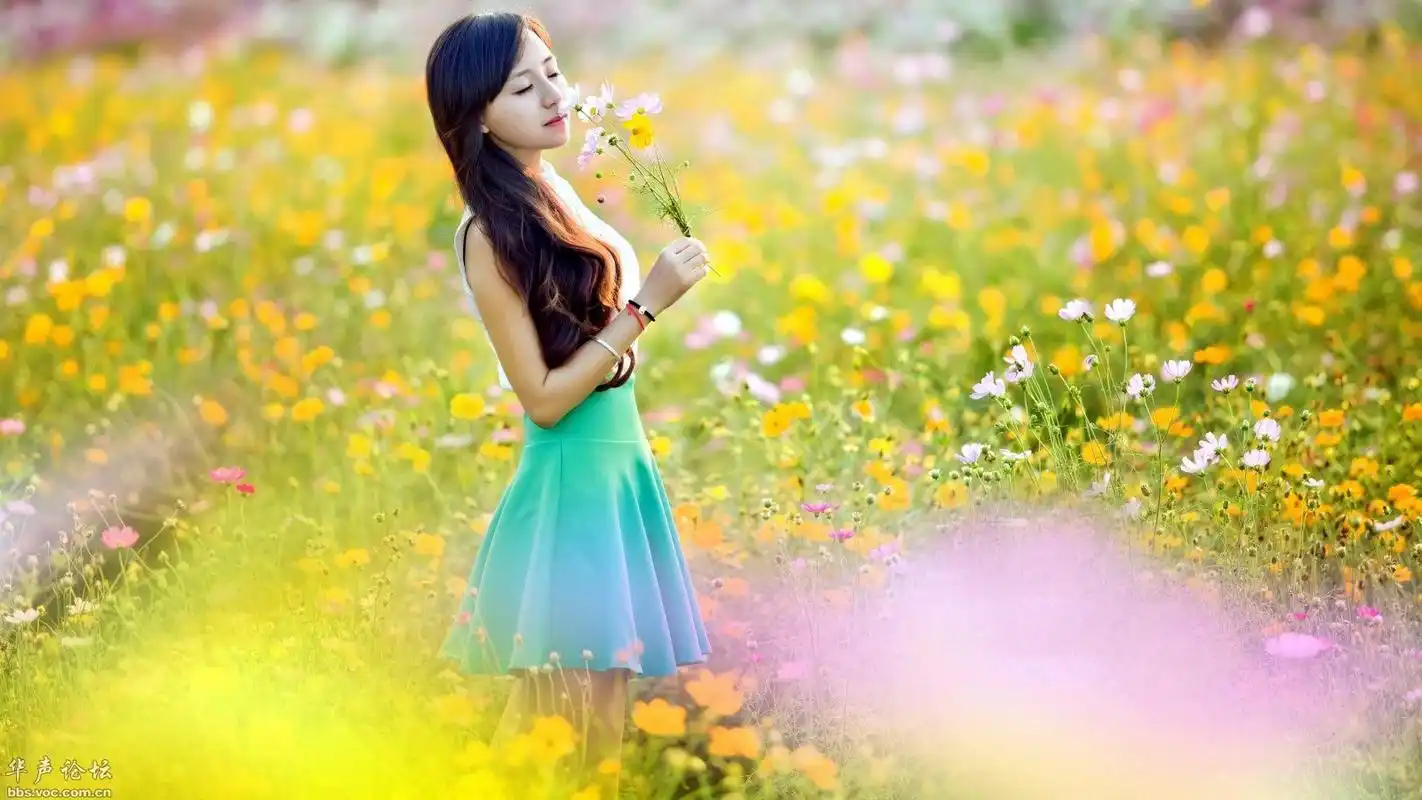 清纯花海美女高清桌面壁纸