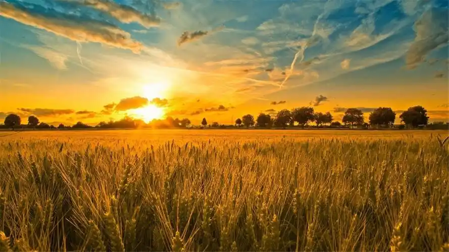 精选非主流治愈系风景唯美图片高清桌面壁纸下载