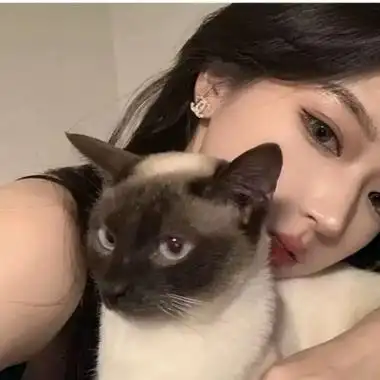女生抱猫咪的头像图片高清漂亮的个性网图头像女抱猫