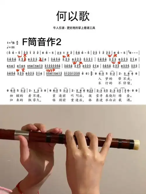 魔道祖师魏无羡  #魔道祖师蓝忘机  #笛子教学  #自学竹笛  #竹笛