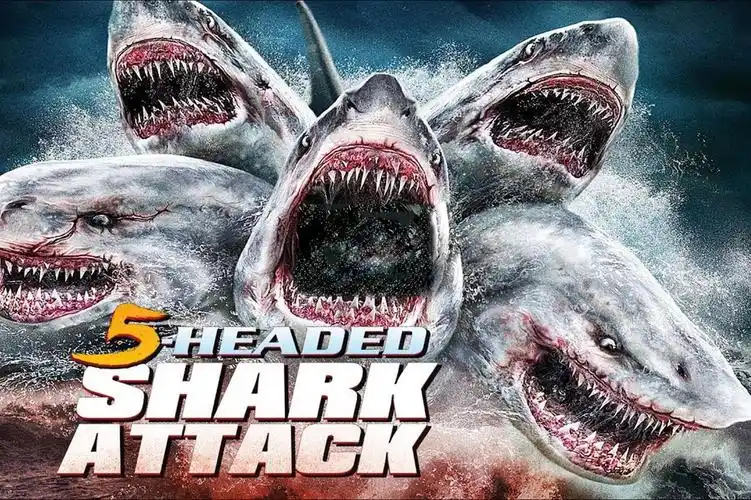 这五头鲨躲得过炸弹咬得了飞机用得了计谋鲨鱼版的诸葛亮