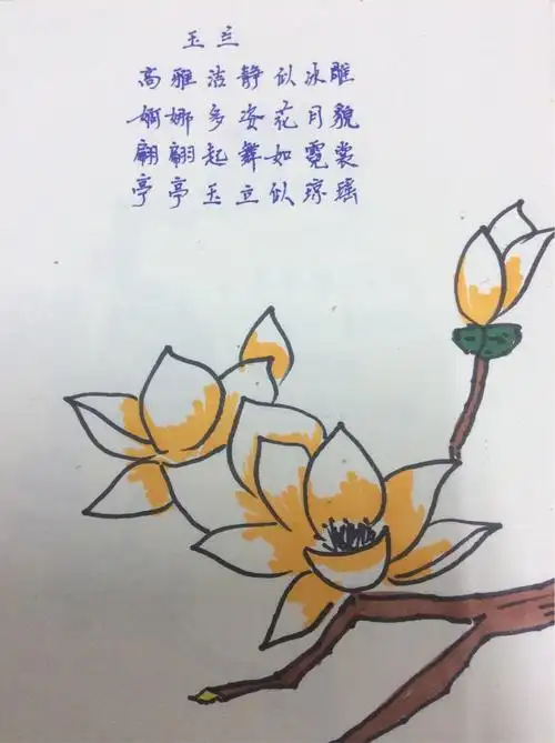 程思琪手绘诗集