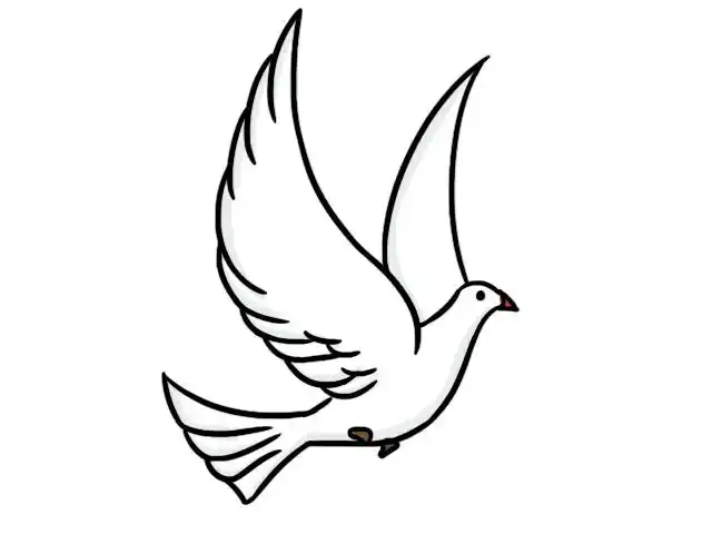 白鸽简笔画三步完成白鸽简笔画画法