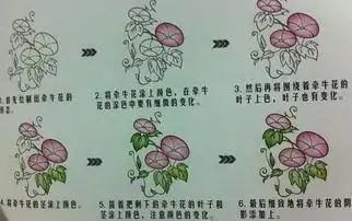 牵牛花植物的结构手抄报关于生物的手抄报