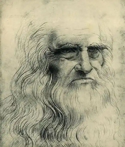 达芬奇真的画鸡蛋了吗