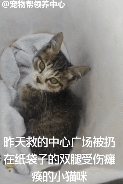 249_370竖版 竖屏gif 动态图 动图