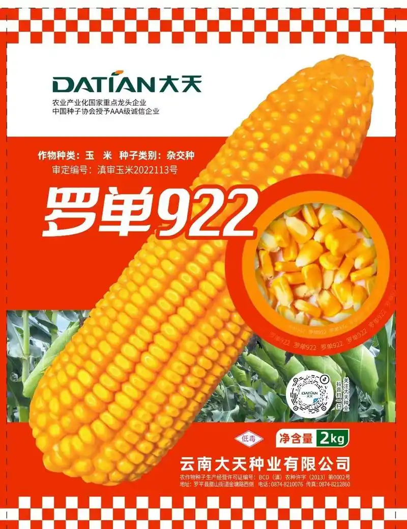 值得期待!##高产玉米种子 #抖音助农 #村丰农资@大天种业