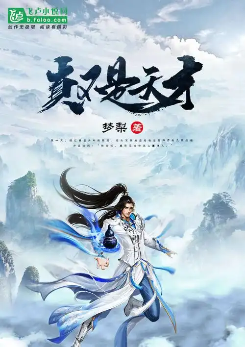 《真不是天才》仙侠小说封面制作_六十元封面专区_墨星封面网