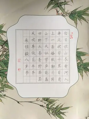 实验小学银溪二年级优秀硬笔作品欣赏