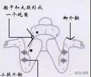蛙泳腿部技术--开启蛙泳第一课