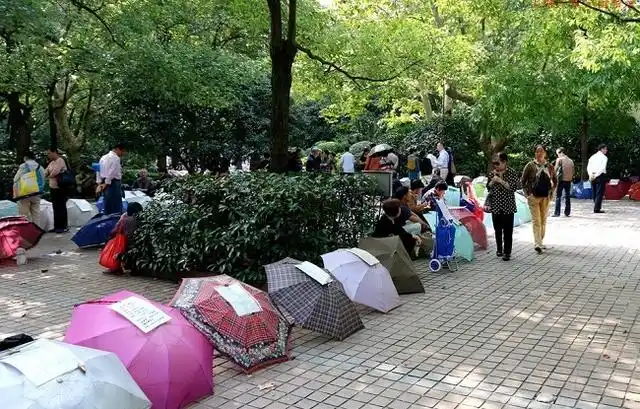 1/6 图看上海某公园相亲角:女方普遍条件好,对男方要求不高