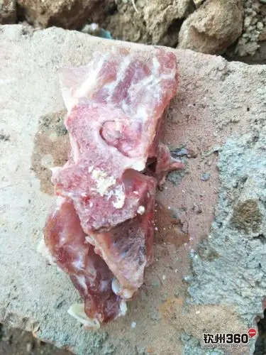 排骨里面有小小白白的小虫子是什么来的?我老婆说是苍蝇虫子?