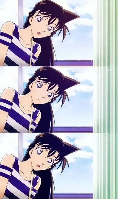 名侦探柯南之九尾狐