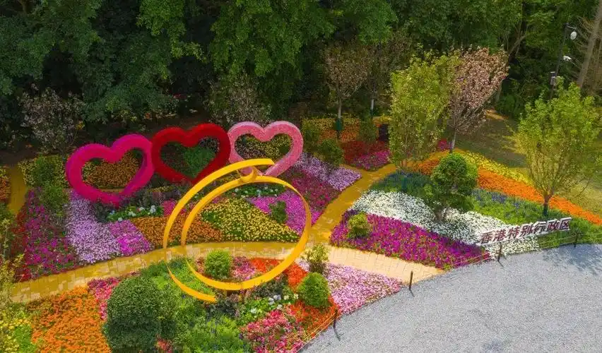 超美丨2021粤港澳大湾区深圳花展