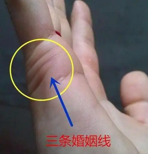 免费查询婚姻线,手相图解大全女右手