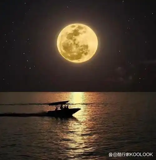 又到中秋,一轮圆月倍思亲