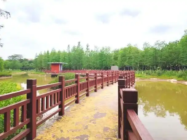 深圳龙岗红花岭公园