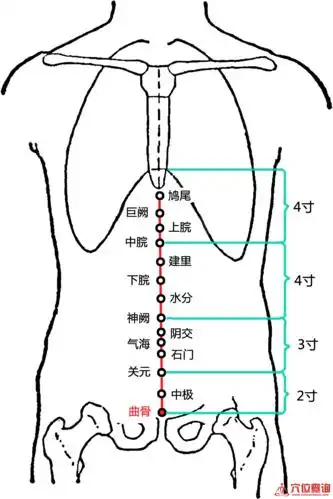 神奇的宗筋疗法女性的守护者