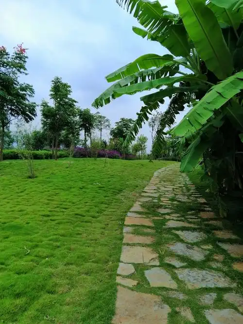 滇南绿洲的景色美哒哒