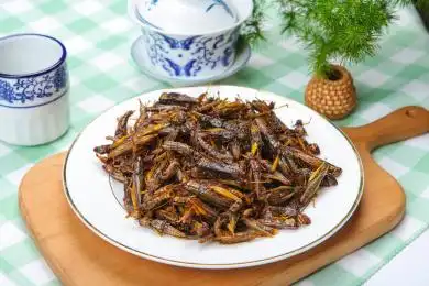 风味小吃炸蝗虫 蚂蚱