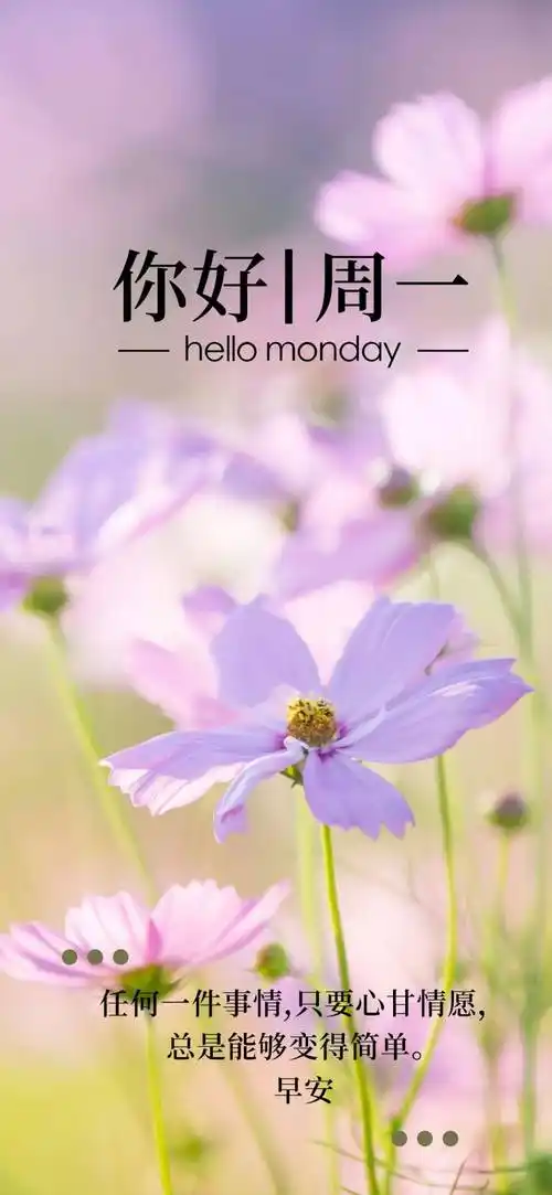 每日一签日历图片,今日6月20日,早安!