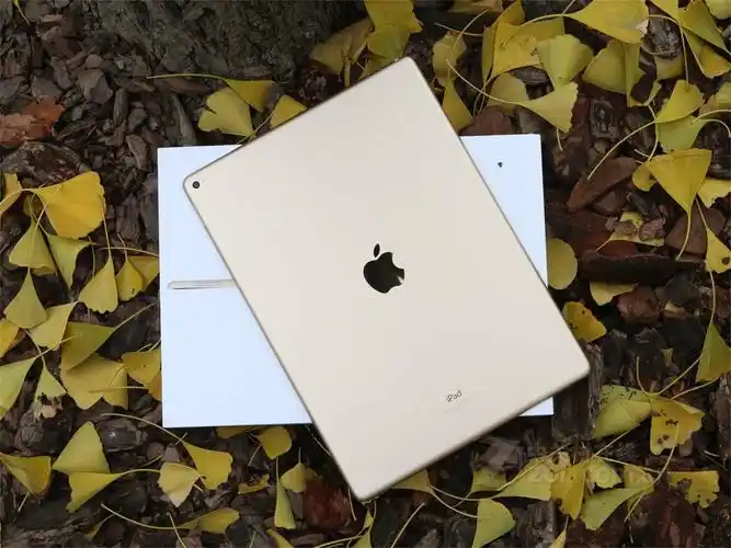 苹果10.5英寸ipad pro(256gb/wlan)点评