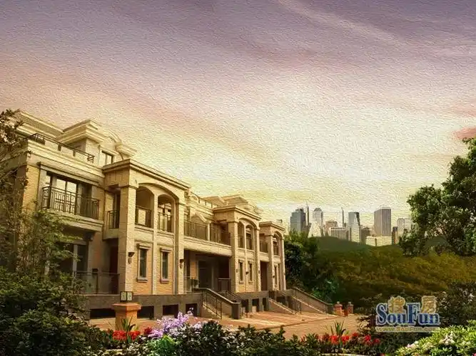 鹏润城墅小区网别名:鹏润半山华府