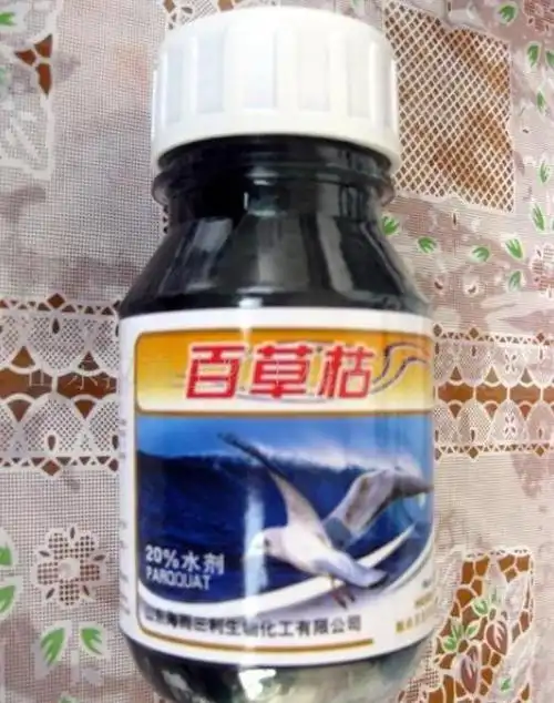 百草枯之殇,那些被蔑视的生命