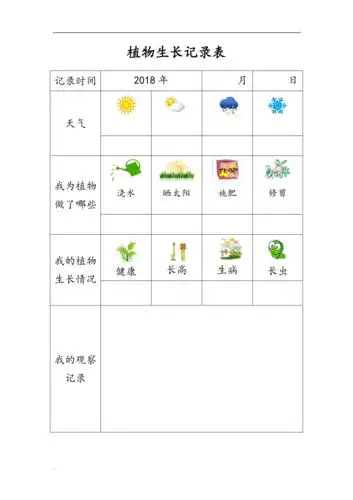 植物观察记录表2