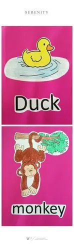 《单词 duck鸭子   monkey猴子》