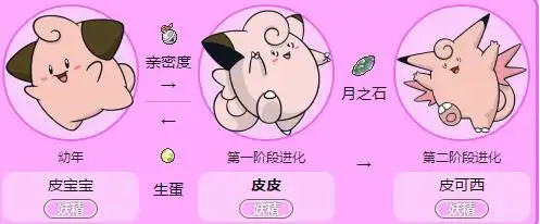 036                             进化