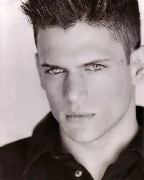 米帅wentworth miller