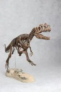 【菊石制造】角鼻龙 恐龙 化石 模型