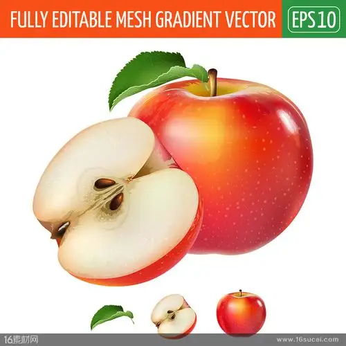 苹果水果设计矢量素材