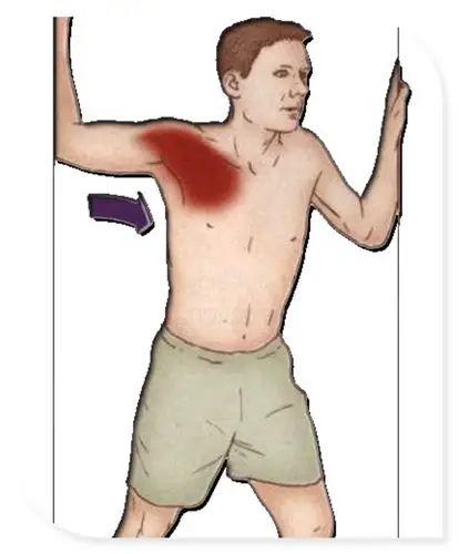 三角肌前束拉伸