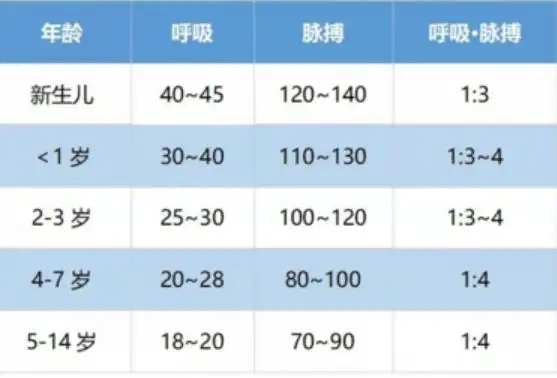 脉率多少算正常范围