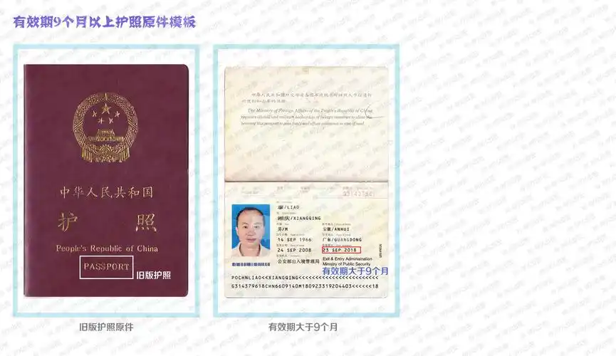 有效期九个月以上护照原件