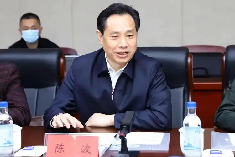 陈波主持会议并表态