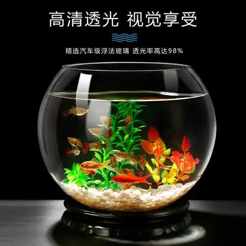 15号圆球裸缸加厚款玻璃鱼缸圆形生态创意水培鱼缸家用桌面小型造景