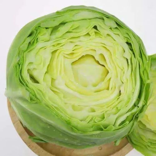 新鲜包菜卷心菜圆白菜农家新鲜时令蔬菜当季现摘莲花白绿甘蓝 1斤尝鲜
