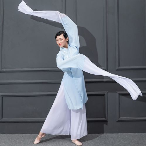 古典舞演出服女飘逸中国风仙女甩袖惊鸿舞服装戏曲古风水袖舞蹈服
