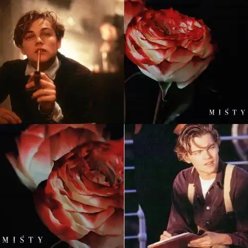 jake rose(杰克玫瑰)跟禁酒令时期流行的鸡尾酒同名少见的复色款切花