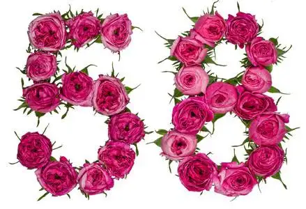 阿拉伯数字 58, 五十八, 从红色的玫瑰花, isolat 照片