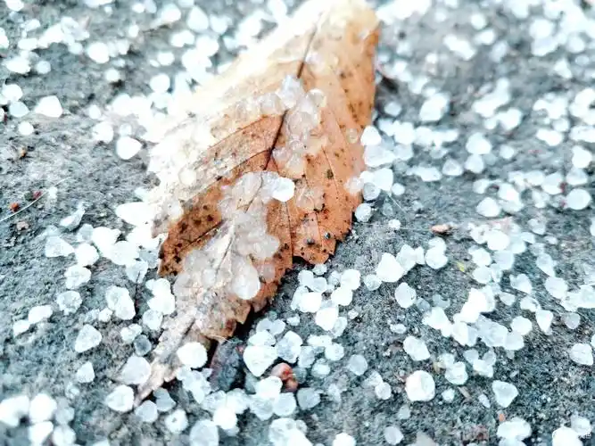 在高空中的水蒸气遇到冷空气凝结成的小冰粒,多在下雪前或下雪时出现,