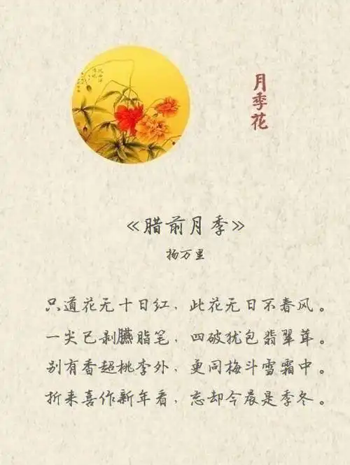 九首描写花的诗词