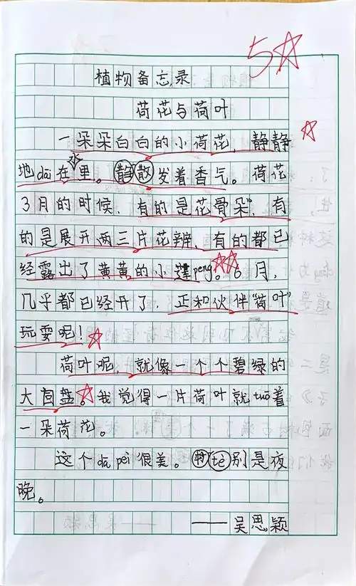 【习作三】植物备忘录