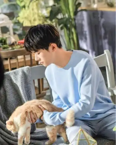 易烊千玺怀抱小猫咪,男友力十足,全网少女居然酸一只猫!